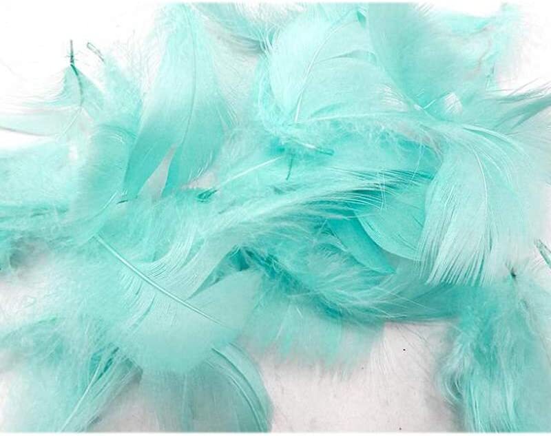 Generic Party Fun Feathers, 100 Pieces, All Ages