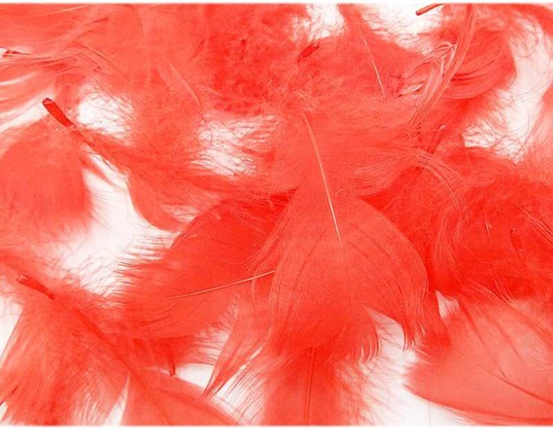 Generic Party Fun Feathers for Party Props, Party Supplies & Decorations, 100 Piece, All Ages, Red
Generic Party Fun Feathers for Party Props, Party Supplies & Decorations, 100 Piece, All Ages, Red