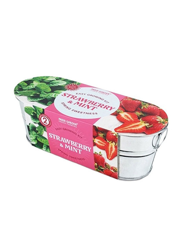 Paris Garden Strawberry & Mint Mini Zinc Collection Colour Oval Pots, Silver
Paris Garden Strawberry & Mint Mini Zinc Collection Colour Oval Pots, Silver