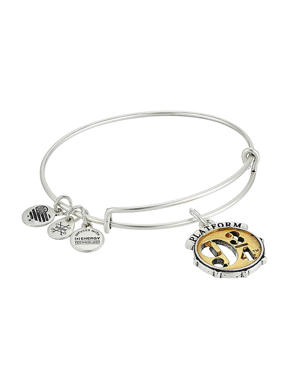 Alex and Ani Silver Plated Harry Potter Platform Charm Bracelet for Women, Silver/Gold Tone
Alex and Ani Silver Plated Harry Potter Platform Charm Bracelet for Women, Silver/Gold Tone