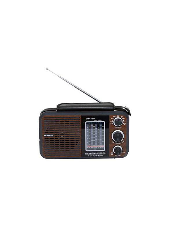 Olsenmark Rechargeable Portable Bluetooth FM Radio with USB/SD /MP3 Music Player, OMR1239, Brown
Olsenmark Rechargeable Portable Bluetooth FM Radio with USB/SD /MP3 Music Player, OMR1239, Brown