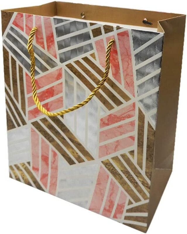 

Party Fun Beautiful And Attractive Paper Gift Bag, 23x18x10cm, Multicolour