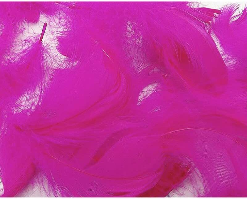 

Generic Party Fun Feathers for Party Props, Party Supplies & Decorations, 100 Piece, All Ages, Fuchsia Pink