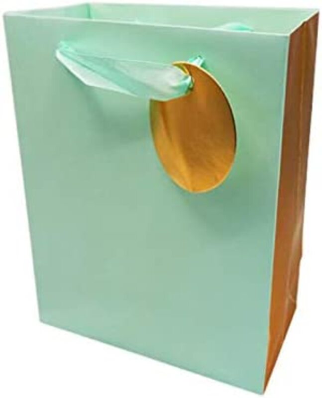 

Unique Design Paper Gift Bag with Durable Ribbon Handles, Medium, Apple Green