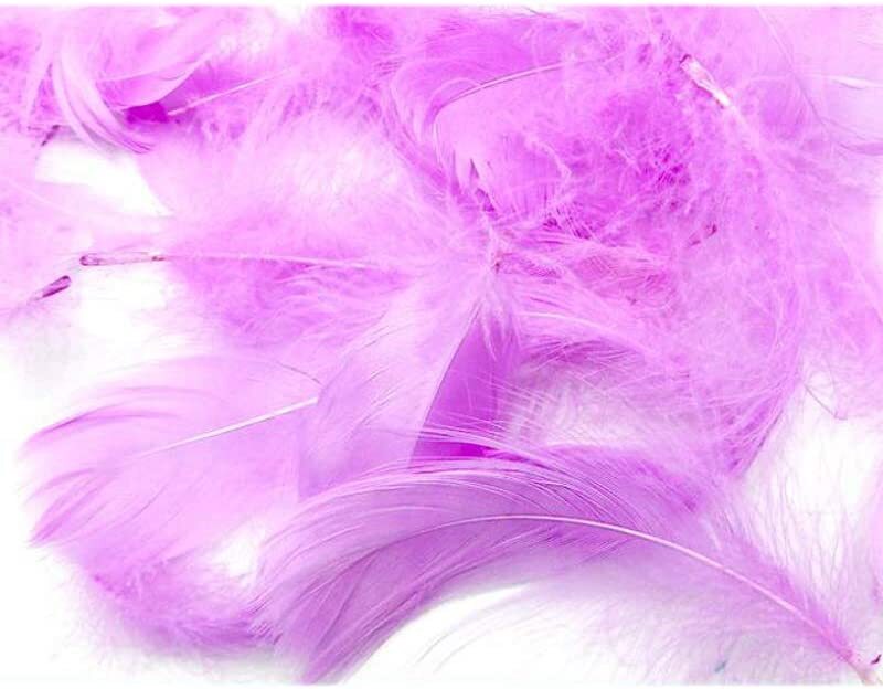 

Generic Party Fun Feathers for Party Props, Party Supplies & Decorations, 100 Piece, All Ages, Purple