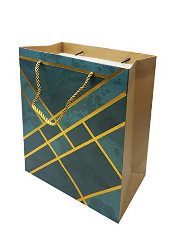 

'Party Fun'' Beautiful Paper Gift Bag, 23 x 18 x 10cm, Multicolour