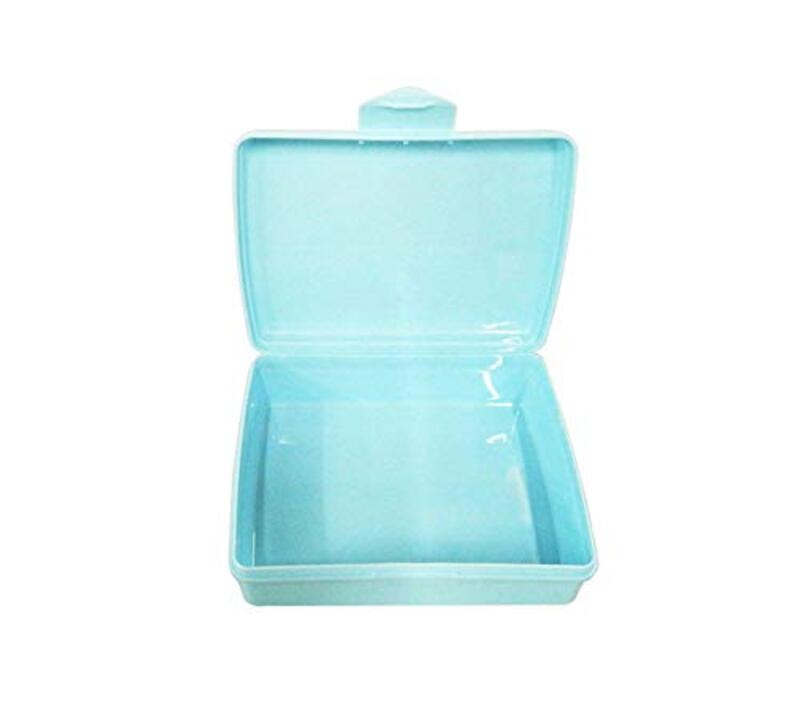 

Lion Star Large Snap Lunch Box for Kids, Aqua