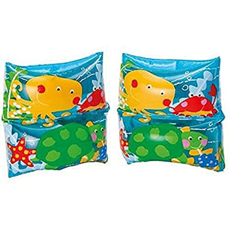 

Intex Recreation Swim Arm Bands, 1 Pair, Multicolour