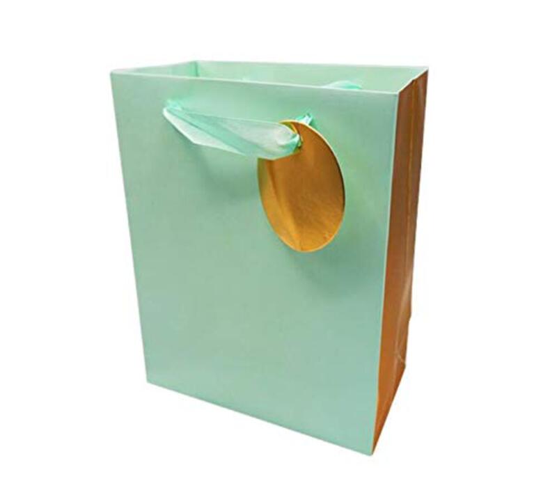 

Unique Design Paper Gift Bag with Durable Ribbon Handles, Small, Apple Green