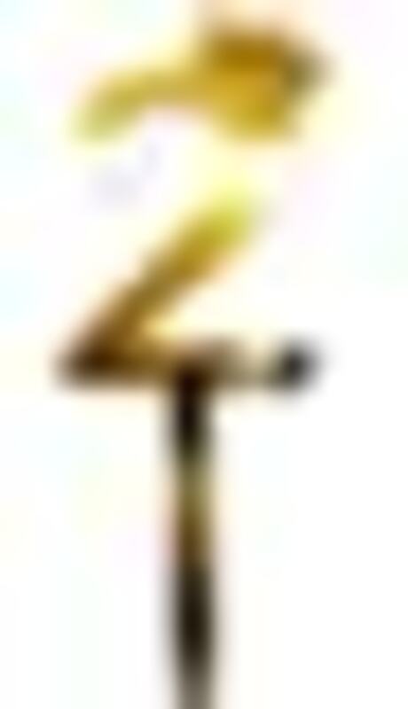 

Generic Beautiful Number 2 Cake Topper, 12 Pieces, Ages 2+