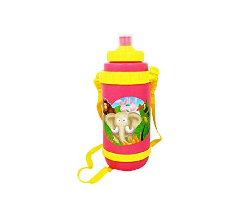 

Beautiful Fancy Water Bottle for Kids, Multicolour