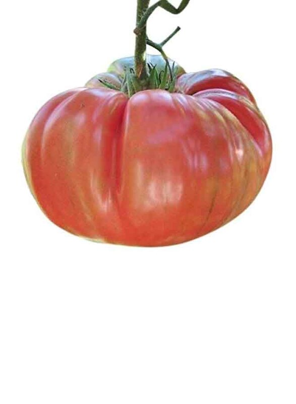 

Generic Tomato Lebanon, 500g