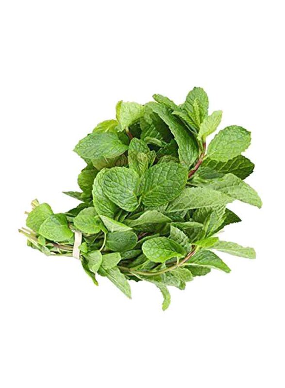 

Generic Fresh Mint Leaves, 1 Pack