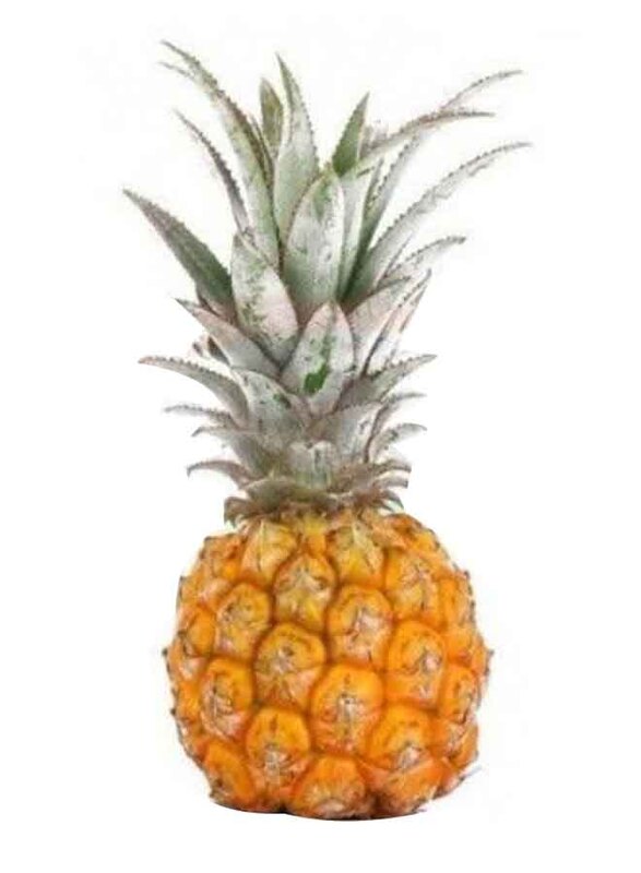 

Generic Small Pineapple, 500g