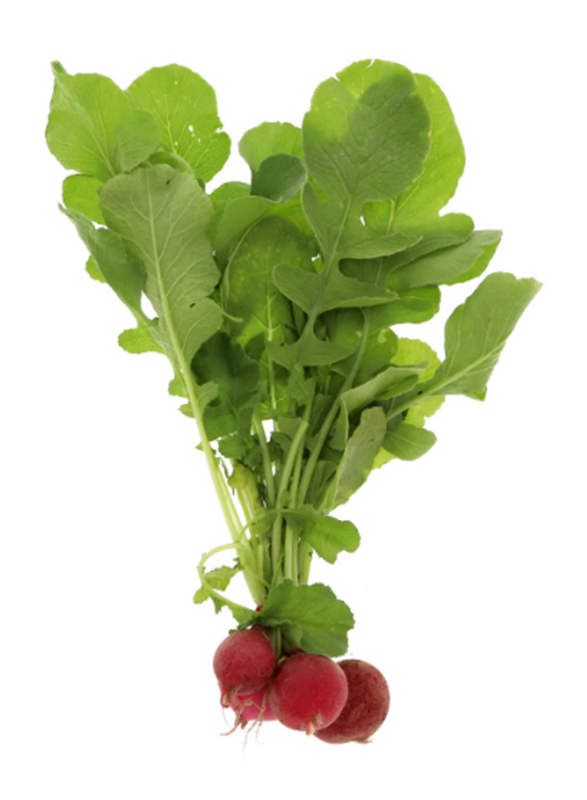 

Organic Quality Green Radish with Leaves, 100g