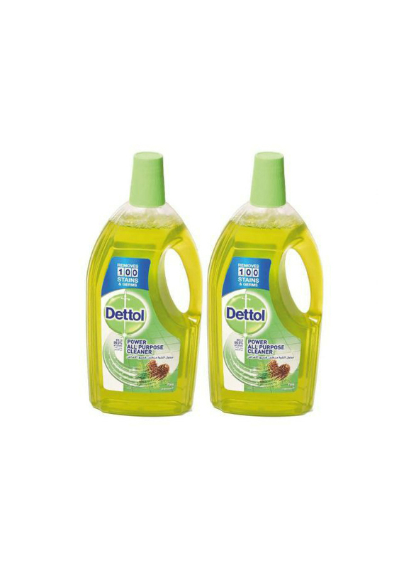 

Dettol Pine 3X Antibacterial Power Floor Cleaner, 2 Bottles x 900ml