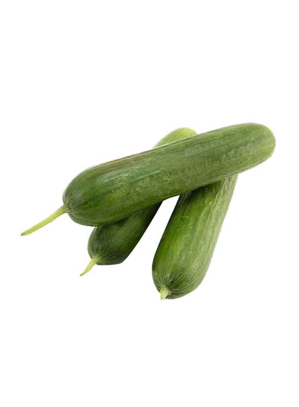 

Generic Wild Cucumber Lebanon, 500g