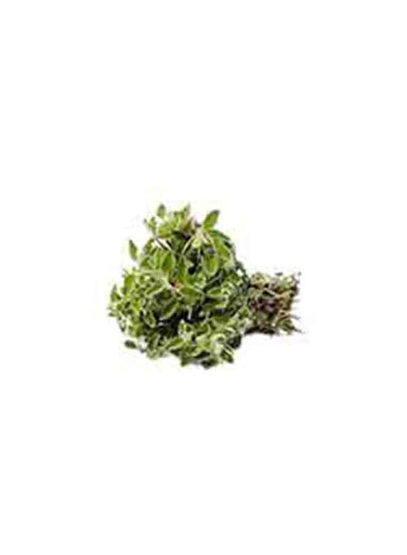 

Generic Lebanese Thyme Zoubeh, 500g