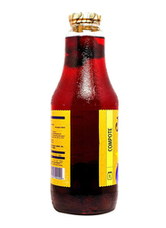 Janarat Blackthorn Concentrated Juice, 1 Liter