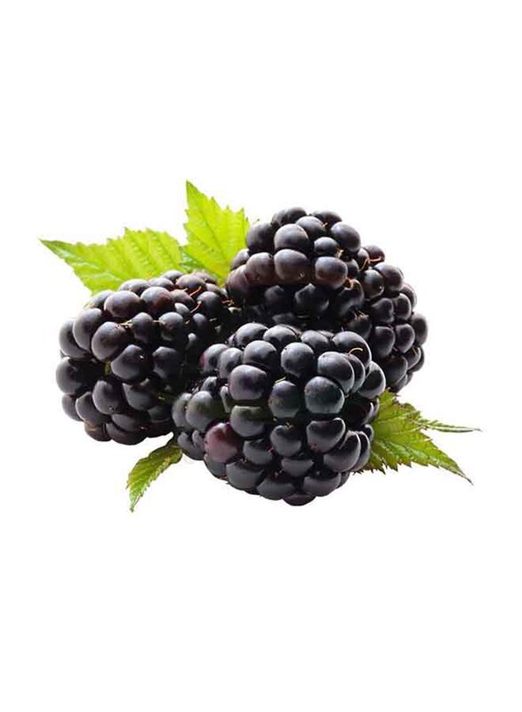 

Generic Blackberry from Lebanon, 1 Pack