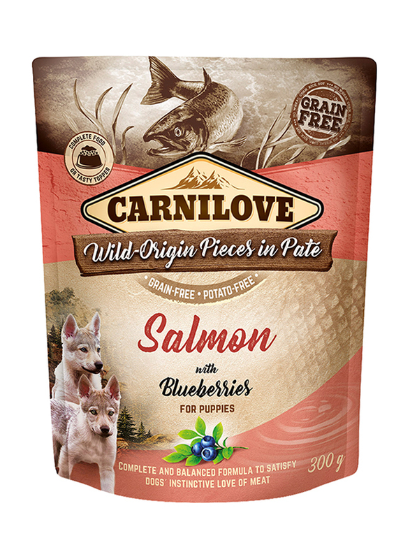 

Carnilove Salmon with Blueberries Dog Wet Food, 12 x 300g