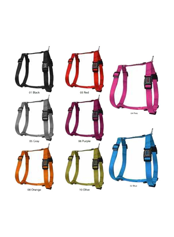

DOCO Signature H-Harness Collar for Dogs, Medium, Black