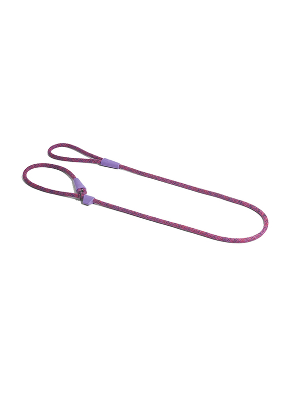 

Zee.Dog Cosmo Slip On Leash, Purple