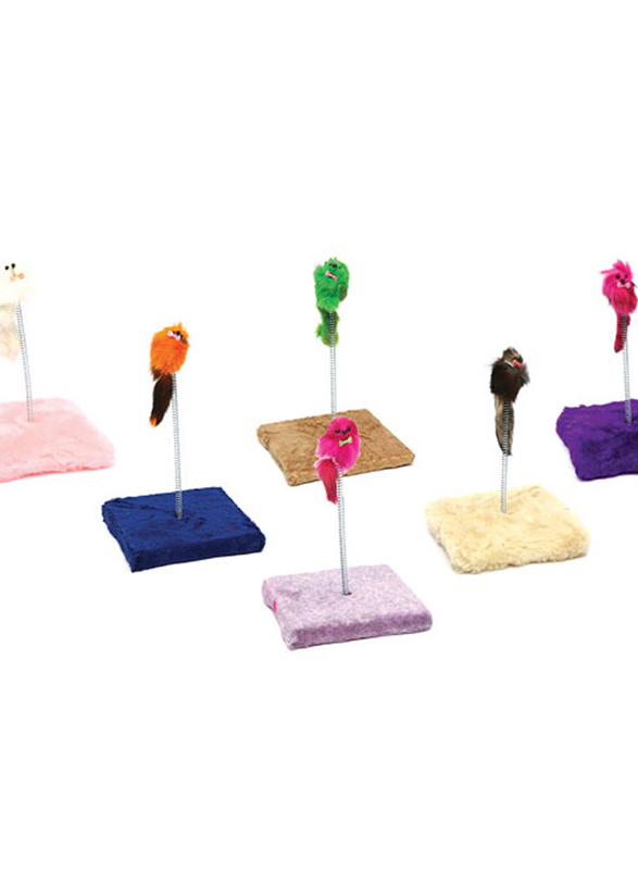

Flip Cat Tumbler, Assorted Colours
