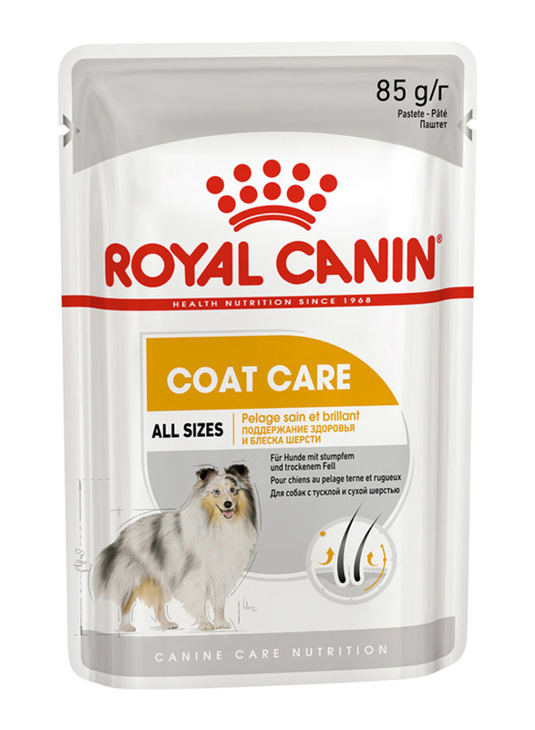 

Royal Canin Canine Care Nutrition Coat Care Dog Wet Food, 85g