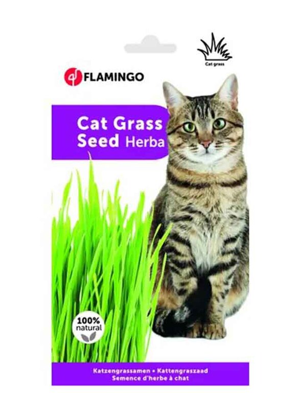 

Flamingo Natural Cat Grass Seeds Cat Dry Food, Green