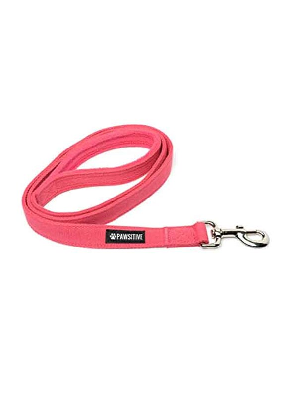 

NWP Sensation Small Dogs Harness, Black & Red