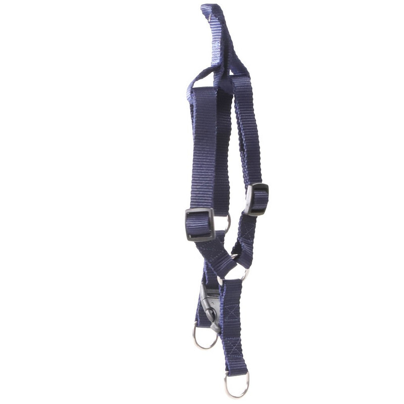 

Generic Blue nylon dog harness .