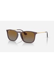 Ray-Ban Chris Polarized Full-Rim Square Polished Transparent Brown Sunglasses Unisex, Brown Lens, RB4187 6593/T5, 54/18/145
