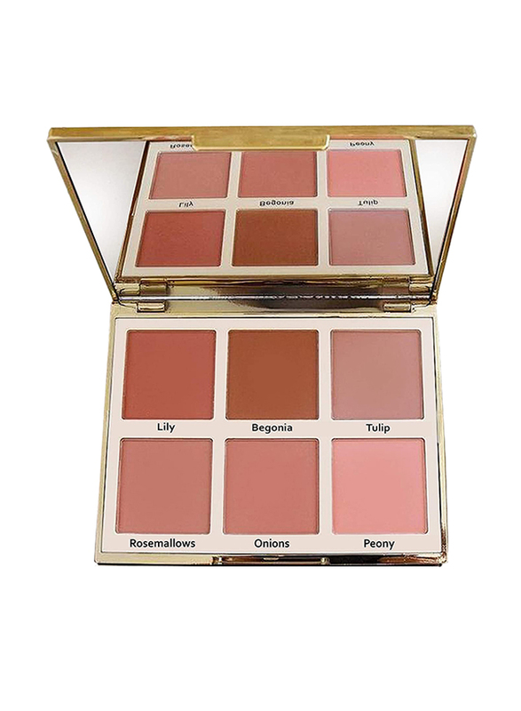 

Artista Master balanced Hoho Blusher Palette, Multicolour