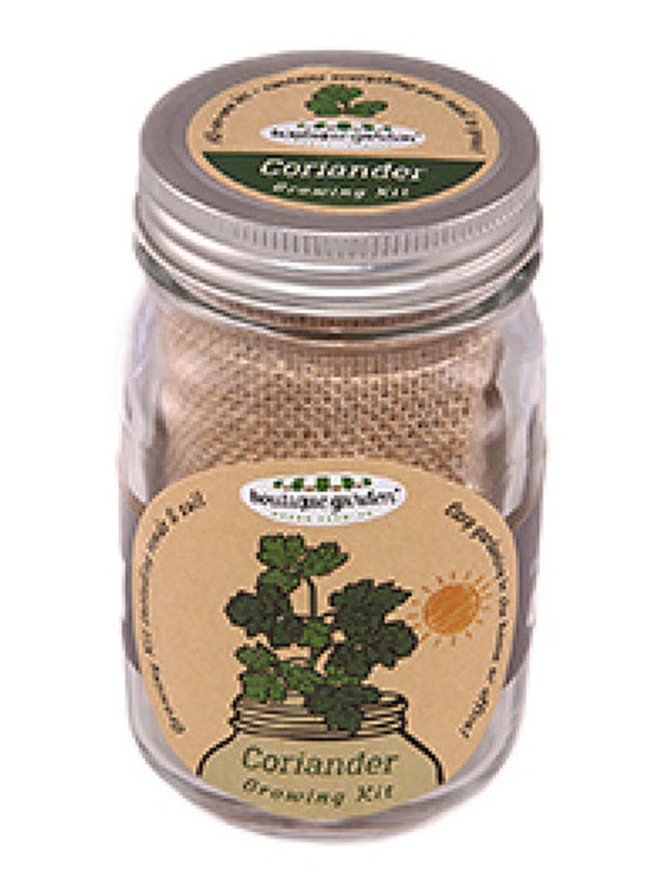 

Paris Garden Mason Coriander Growing Jar, Clear