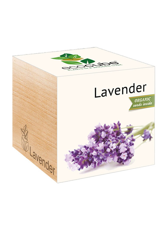 

Feel Green Ecocube Lavender Plants in Wooden Cube, Brown