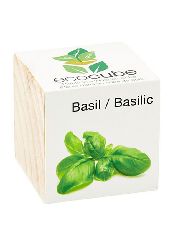 

Feel Green Ecocube Basil Plants in Wooden Cube, Brown