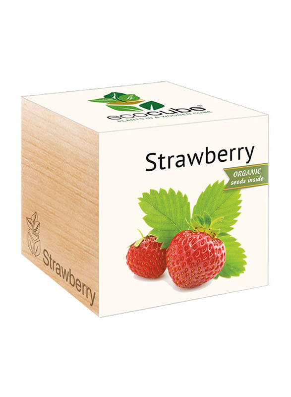 

Feel Green Ecocube Strawberry Plants in Wooden Cube, Brown
