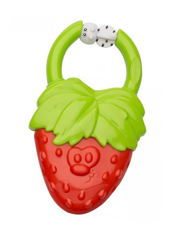 

Infantino Vibrating Teether Strawberry, Multicolour