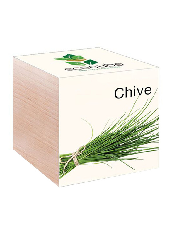 

Feel Green Ecocube Chives Plants in Wooden Cube, Brown