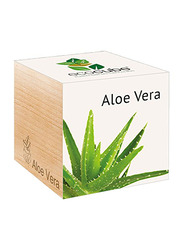 Feel Green Ecocube Aloe Vera Plants in Wooden Cube, Brown