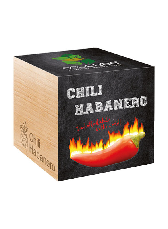 

Feel Green Ecocube Chilli Habanero Plants in Wooden Cube, Brown