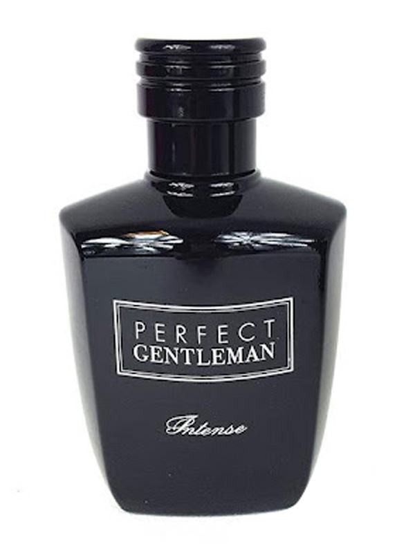 

Art & Parfum Perfect Gentleman Intense 100ml EDP Perfume for Men