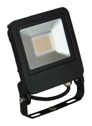 Radium LED Flood Light, 30W, FLLA1762, 6500K-Daylight, Black
