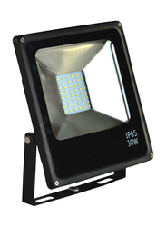 Salhiya Lighting LED Flood Light, 30W, 6500K-Daylight, Black