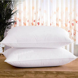 Deals For Less 2-Piece Plain Soft & Comfy Pillows Set, White