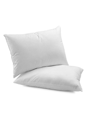 Deals For Less 2-Piece Plain Soft & Comfy Pillows Set, White