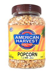 American Harvest Popcorn Kernels Jar, 850g
