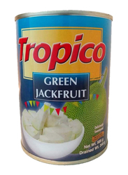 Tropico Green Jack Fruit, 565g