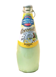 American Harvest Banana Flavour Coconut Milk with Nata De Coco, 290 ml